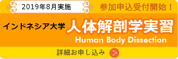 2019バナー 携帯用